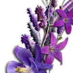 ��� �� ��� ����� ���� �� ��� ����� ��� �� ���� ���� ��