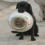 ���� ������ �� ����� ����� ������� ���� ���� ...