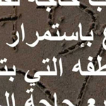 ���� ����