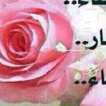 ���� ������ ������