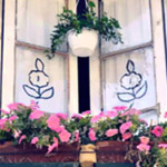 ����� ����� ��� ��� ����