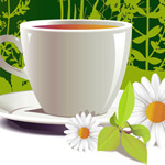 ���� ���� ������� ���� ����� ������ ����� ���� ����