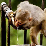 ��� ���� �� ��� ����