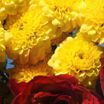 ����� �� ������ .. ���� ������ �� ������� ������� ��� .