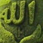 �� ���� ��� ���� �����