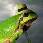 ���� ������� �����