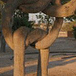 ����� ������ ������� ����� ����