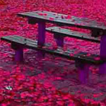 ����� ������ ���� �� ������� �������� .. �����.. ���������.. �������