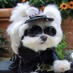 ��� ��� ����