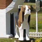 ����� ���� ���