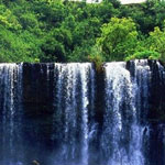 ���� ����