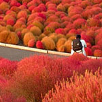 �� ���� ����� �������