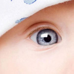 ��� ������