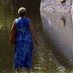 ��� ���� ���� �