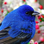 ���� ������