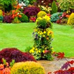 �� ���� �������