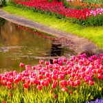 �� ���� �������