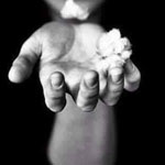 ������ �� ���� ����� ���  ���� ������ �����