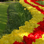 ��� ���� ����� ��� ����