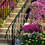 ���� ���