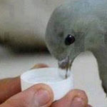 ���� ����� ���� ��������