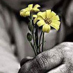 �� ������� ������ ���� ���