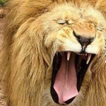 �� �� ��� ���� ��