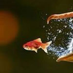 �� ���� ��� ����� �� ���� ��������