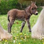 �� ���� ������