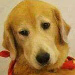 ����� �� ����� �������