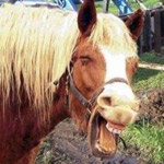 �������� ����