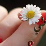 ����� ���� ���� �