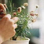 �� ���� ������� ���������� 