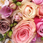 ����� ����� �������