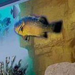 ���� ����� ��� ��� ��� ��� 