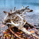 ���� ���� ������ ������