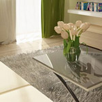 ���� ����� ���������