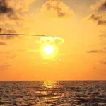 ���� �� �������