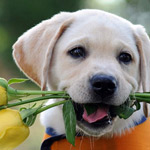 ������ ��� ��� �����ɿ