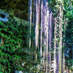 ������� - �������