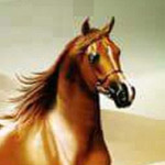 ������ ���� ����