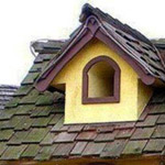 ����� ���� ��� 