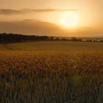 �� ���� �����  ������� �� ��� ������