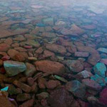 ����� ������ ������ ������ �������