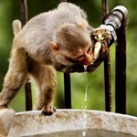 �� ���� �� ���� �����