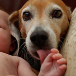 ��� ����� ����