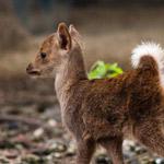 ���� �����