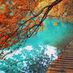 �� ������ ��� ����� ������ ������ ������ ���� ��� �����