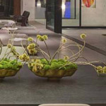 ��� ����� ���� ���� ��� ��ʿ