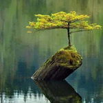 ����� ����